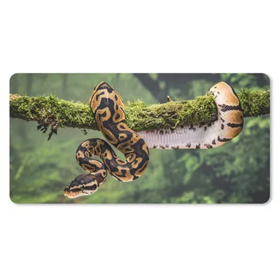 Obrázok produktu pre Podložka pod myš - Had - vetva - dažďový prales - 60x30cm - Rohožka pod myš