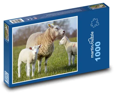 Produktbild von Puzzle 1000 Schafe mit Lämmern auf der Wiese - martinpuzzle