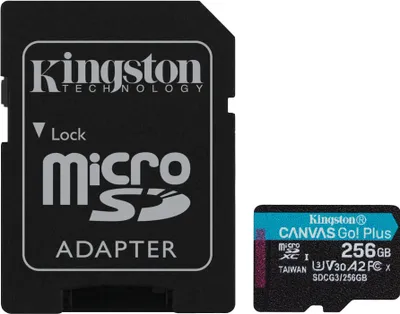 Image de Kingston SDCG3/256GB