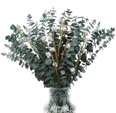 Getrocknete Eukalyptusblätter, 20 Stück + 4 Beeren, 43 cm, für Dekoration