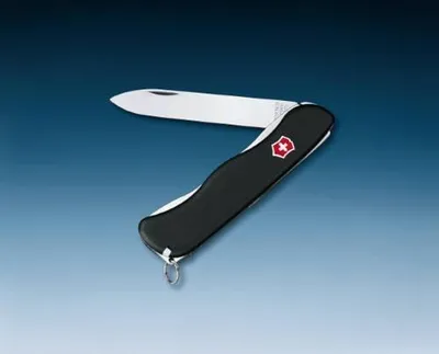 Imagen del producto de Victorinox Sentinel 0.8413.3