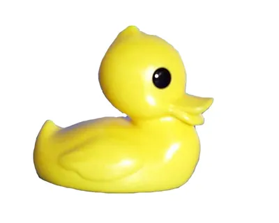 Zdjęcie produktu dla Kaczka