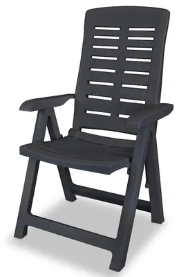 Produktbild von vidaXL 4 Stück verstellbare Klappstühle aus Kunststoff, anthrazit
