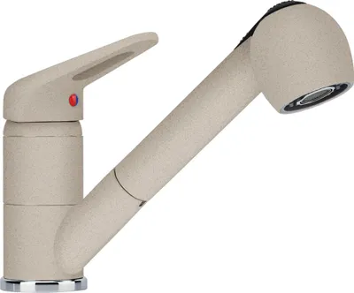 A kitchen faucet with a pull-out spray head.