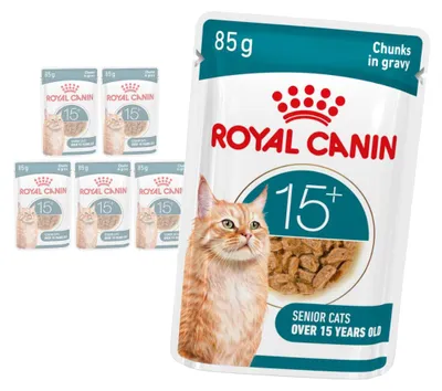 Zdjęcie produktu dla Royal Canin Ageing 15+ Karma Mokra 6x85g Kawałki w Sosie Dla Kotów Dojrzałych Po 15 Roku Życia