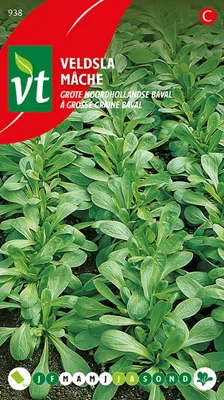 Obrázek produktu pro Feldsalat Large Northern Dutch Baval Samen - Ca. 4 gr | VT_938