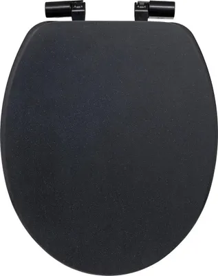 A black toilet seat is shown from a top-down view against a white background.