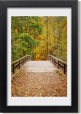 Produktbild von Bild 20x30 MDF-Rahmen, Wandkunst Herbstwald
