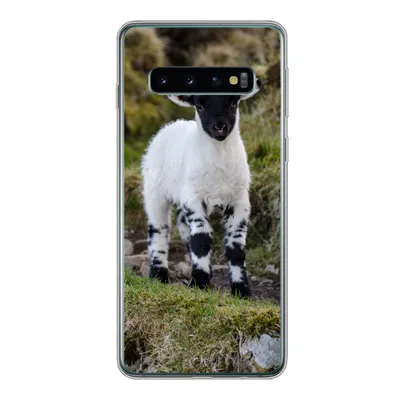 Produktbild von MuchoWow® Handyhülle Schutzhülle Hülle für Samsung Galaxy S10 Lamm - Schwarz - Weiß - Tupfen Silikon Softcase Handy Hülle - Handytasche