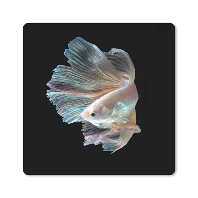 Produktbild von MuchoWow® Mauspad Mousepad Fisch - Schwanz - Schwarz 30x30 cm - Mousepads - Maus Mat - Pad - Mausunterlage - Gaming