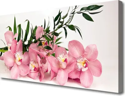 Produktbild von Tulup Leinwand-Bilder 100x50 Wandbild Canvas Kunstdruck Blumen Blätter Pflanzen