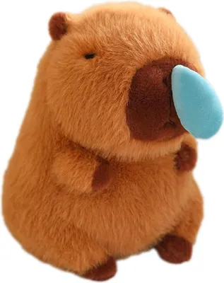 Produktbild von 25 cm Plüsch Capybara Kuscheltier, Wasserbüffel Stofftier Kissen, weich, niedlich, ideales Geschenk für Kinder