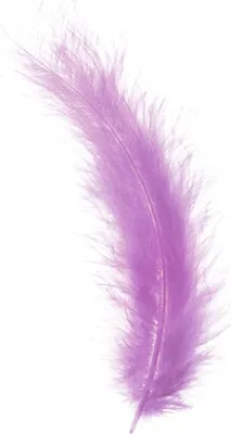 Produktbild von GLOREX Marabou, Violett, 15 Stück(e), 2 g