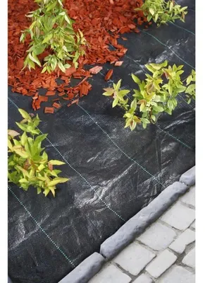 Image de Tissu de sol anti-mauvaises herbes Nature 3,3×5 m noir