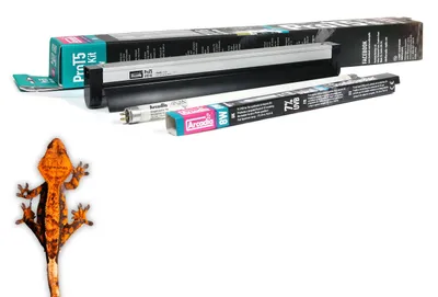 Image de Kit d'éclairage ARCADIA PRO 1xT5 8W avec Shade Dweller Aboreal 2,4 % UVB+12 % UVA 5800K 8W ; 31,5 cm