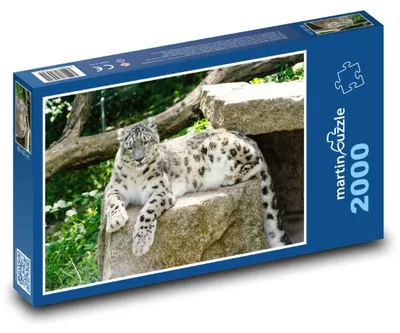 Obrázok produktu pre martinpuzzle – Puzzle 2000 – Leopard
