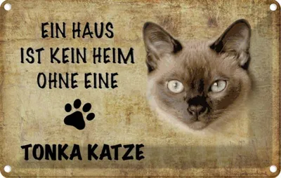 Produktbild von vianmo Blechschild 20x30 cm Tonka Katze ohne kein Heim Tier Haustier