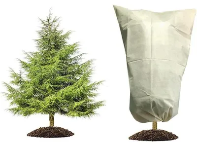 Productafbeelding van Winterbeschermhoes voor planten, 60 x 80 cm, beige