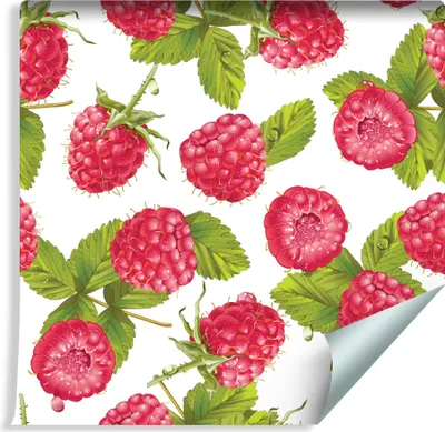 Zdjęcie produktu dla Tapeta Dekoracja Ścienna Kuchenna Soczyste MALINY Owoce Liście Ozdoba 3D
