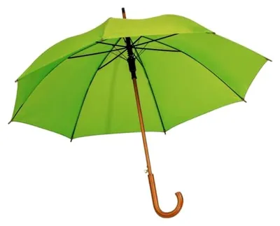 Produktbild von Automatischer Regenschirm mit Holzgriff / Farbe: hellgrün