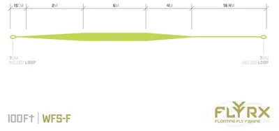 Produktbild von Delphin FLYRX Fliegenschnur WF6-F / 100 FT