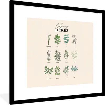 Produktbild von MuchoWow® Gerahmtes Poster Pflanzen - Küche - Lebensmittel 40x40 cm - Poster mit Schwarzem Bilderrahmen Wandposter Rahmen Foto Bilder - Poster - Plakat im Rahmen