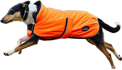 Image de Weatherbeeta - Manteau pour chien « Comfitec Deluxe », réfléchissant, imperméable WB2444 (50 cm) (orange)