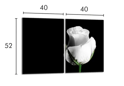 Produktbild von Glasschutzplatte für den Herd 2x40x52 Rose