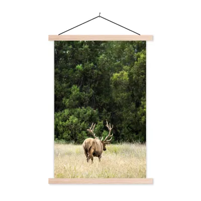 Produktbild von MuchoWow® Textilposter Hirsche - Gras - Wald 40x60 cm mit holzfarbenen Rahmen - Poster