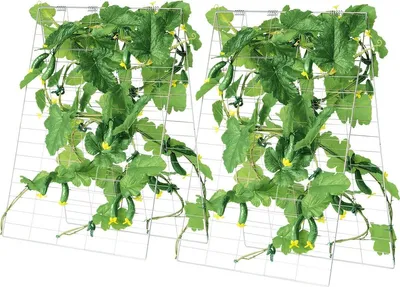 Produktbild von A-Frame Cucumber Trellis 35" x 55" Foldable Metal Garden Trellis