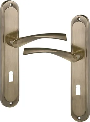 Two door handles with backplates, presented against a white background.