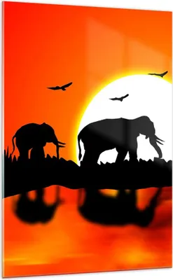 Produktbild von Bilder auf glas - Einteilig - Tiere Afrikaner Elefanten Natur - 70x100cm - Glasbilder - Wandbilder - Bilder - Wanddekoration aus Glas - Glas Bilder - Wandbild auf Glas - GPA70x100-0533