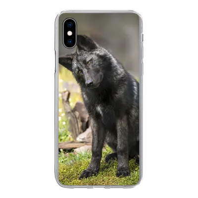 Produktbild von MuchoWow® Handyhülle Schutzhülle Hülle für iPhone Xs Wolf - Schwarz - Gras Silikon Softcase Handy Hülle - Handytasche