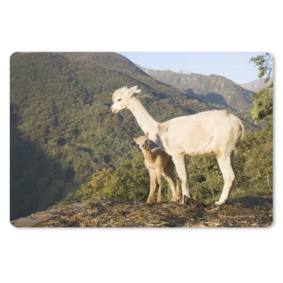 Produktbild von MuchoWow® Mauspad Mousepad Alpakas - Berge - Natur 27x18 cm - Mousepads - Maus Mat - Pad - Mausunterlage - Büroartikel - Desk Matten