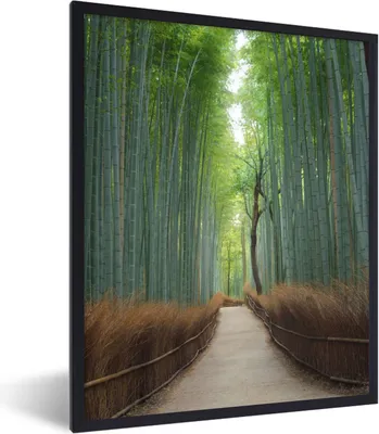 Produktbild von MuchoWow® Gerahmtes Poster Bambus - Weg - Wald 60x80 cm - Poster mit Schwarzem Bilderrahmen Wandposter Rahmen Foto Bilder - Premium - Wanddeko Wohnzimmer