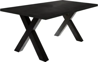 Produktbild von Esszimmertisch Eike 8 200 x 100 x 75 Esstisch Schwarzstahl 13451-200
