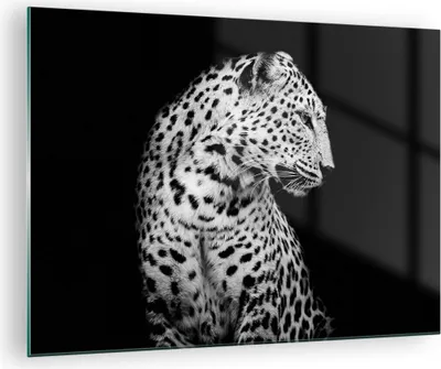 Produktbild von Bilder auf glas - Einteilig - Leopard Panther Katze - 70x50cm - Glasbilder - Wandbilder - Bilder - zum Aufhängen bereit - Wanddekoration aus Glas - Glas Bilder - Wandbild auf Glas - GAA70x50-4919