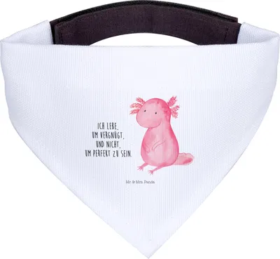 Produktbild von Mr. & Mrs. Panda Halstuch Axolotl Niedlich - Weiß - Geschenk, Fröhlich, Tuch für Hunde, Weisheit, Lebensweisheit, Freundin, Hundehalstuch, Liebe