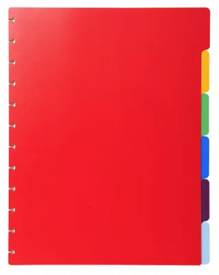 Obrázek produktu pro Exacompta 86002E Index 6 dílů DIN A4 Maxi barevný polypropylen 300µ