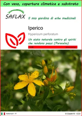 Immagine prodotto di SAFLAX Garden to go - Iperico - 300 semi - Hypericum