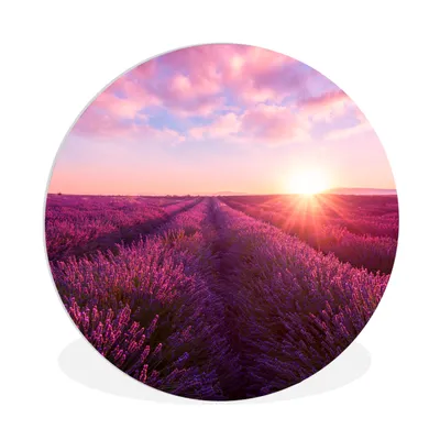 Produktbild von MuchoWow® Rundes Wandbild - Runde Bilder Lavendel - Blumen - Frankreich Ø 90 cm Kreis Wanddekoration Kunststoff - Wandkreis - Wandschmuck - Wand-Kreis - Wohnzimmer - Bild - Runde - Wanddeko - Dibond - Kunstdrucke