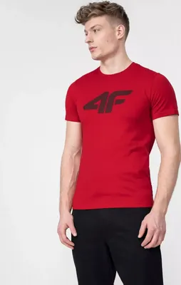 Produktbild von 4F Herren-T-Shirt mit Aufdruck Thukkahn rot L