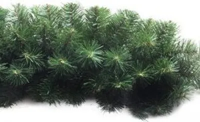 Obrázok produktu pre Girlanda zelená 100 cm