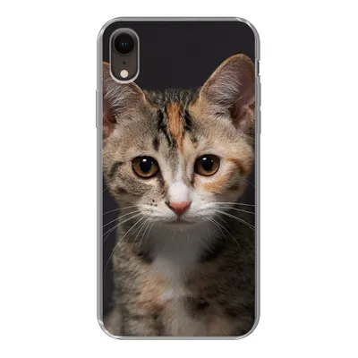 Produktbild von MuchoWow® Handyhülle Schutzhülle Hülle für iPhone XR Katze - Schwarz - Porträt Silikon Softcase Handy Hülle - Schutzdeckel