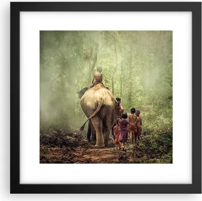 Produktbild von Gerahmtes Poster - Schwarzer Rahmen - Elefant Dschungel Nebel - 30x30 cm - Wand Bild - Wanddeko - Wandbilder - Wandposter - Bilderrahmen - Bilder - Kunstdruck - Wandbild - P2BAC30x30-3438