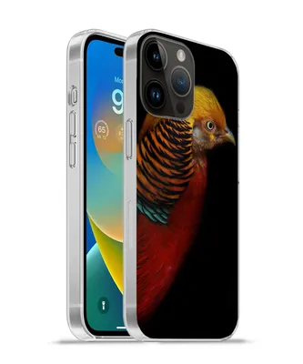 Produktbild von MuchoWow® Handyhülle Schutzhülle Hülle für Apple iPhone 14 Pro - Softcase Vogel - Federn - Schwarz - Porträt Silikon Softcase Handy Hülle