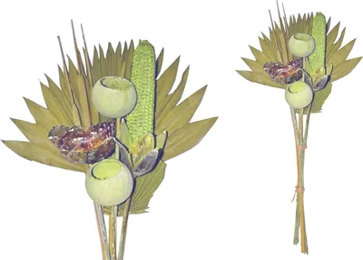 Produktbild von BOHO Trockenblumenstrauß gemischt Exotic Palmspear Kiwi grün gefrosted 60cm,10 teilig