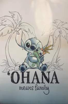 Obrázek produktu pro Stitch – Ohana znamená rodina – 61 x 91,5 cm – plakát