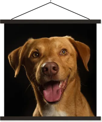 Produktbild von MuchoWow® Textilposter Hund - Haustiere - Porträt 120x120 cm mit schwarzem Rahmen - Aufhängungsset