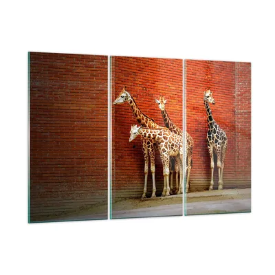 Produktbild von Bilder auf glas - Tiere Giraffen Zoo Familie - 105x70cm - Glasbilder - Wandbilder - Kunstdruck - zum Aufhängen bereit - Wanddekoration aus Glas - Glas Bilder - Wandbild auf Glas - GCE105x70-2643